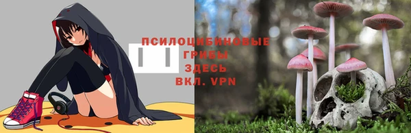 дмт Мегион