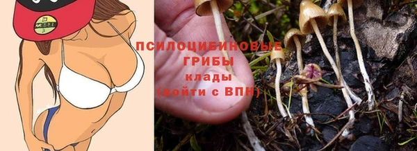 дмт Мегион