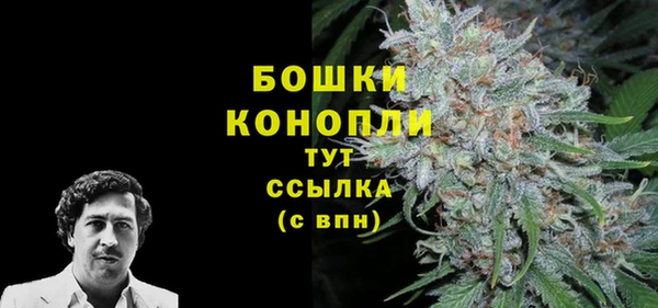 стаф Медвежьегорск