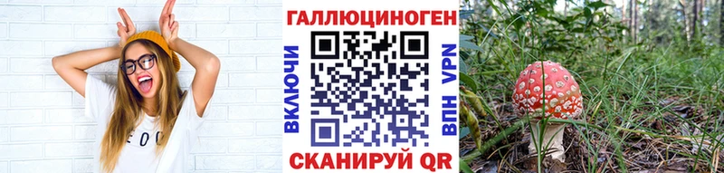 дарнет шоп  Сретенск  Галлюциногенные грибы мицелий 