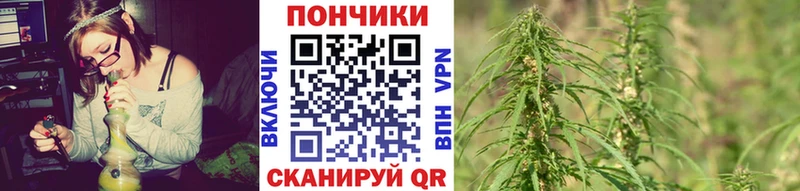 кракен как зайти  Сретенск  Шишки марихуана сатива 